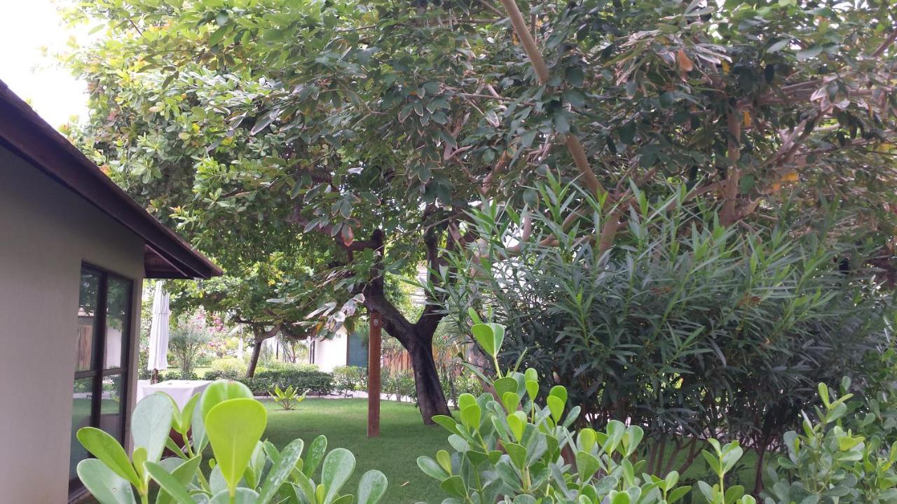 Carneiros Beach Resort Tamandaré Exteriör bild